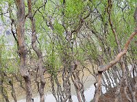 Longmen 龙门石窟48