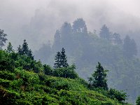 FengHuang 凤凰古城68