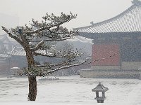 Huayansi 华严寺（2011）