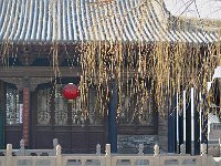 Wangjia 王家大院3