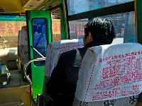 Wangjia 王家大院45