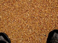 2010 World Expo 世博 51