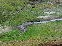 FalklandIsland／MalvinasIsland 福克兰群岛（马岛）60