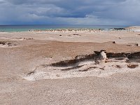 FalklandIsland／MalvinasIsland 福克兰群岛（马岛）81