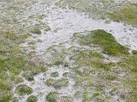 FalklandIsland／MalvinasIsland 福克兰群岛（马岛）83