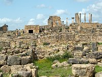 Volubilis Roman Ruins 古罗马遗址