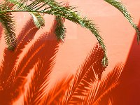 Dolmabahce Palace 新皇宫32