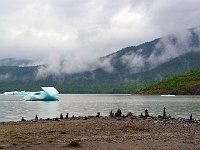 Alaska 阿拉斯加116s