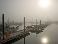 Alaska 阿拉斯加19s