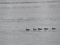 Alaska 阿拉斯加39s