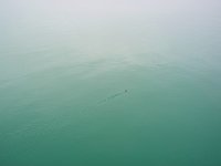 Alaska 阿拉斯加63s