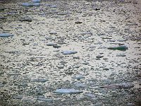 Alaska 阿拉斯加80s