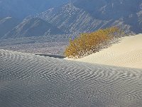 Death Valley 死亡谷国家公园15
