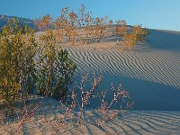 Death Valley 死亡谷国家公园4