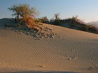 Death Valley 死亡谷国家公园5